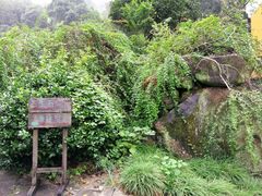 -杭州西湖风景名胜区-三生石