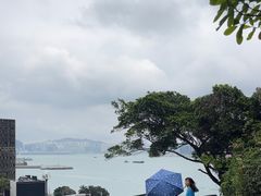 -讯号山花园