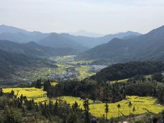-江湾牛蹄馆