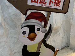 -台州海洋世界