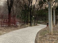 -东升文体公园