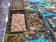 -大连湾旭日·家宴·海肠捞饭(马栏广场店)