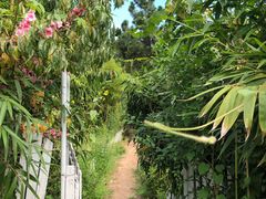 -小仙居·农家宴烤羊· 农庄