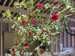 -梁家大院•农家菜(昆山会展中心店)