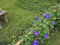 -中国天府农业博览园