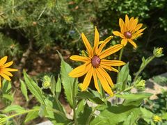 -周口店坡峰岭风景区