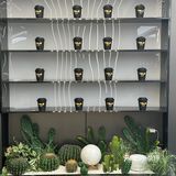 圣诞节🎄就要来这过呀！氛围感满满的法餐厅