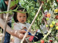 -任达丞国农庄(任达山庄店)