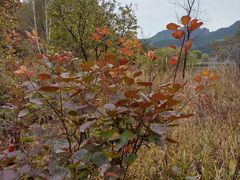 -玉渡山自然风景区