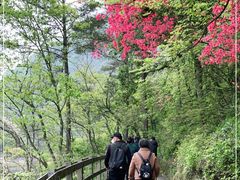 -岳西天峡风景区
