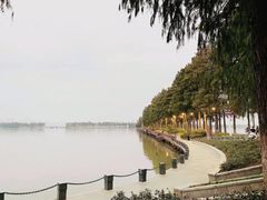 -东湖磨山景区