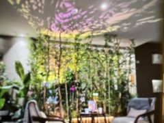 -施奈儿.洗头頭療.按摩SPA.采耳(上梅林店)