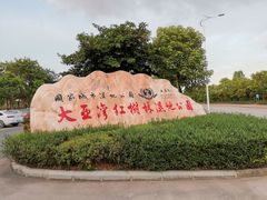 -大亚湾红树林城市湿地公园