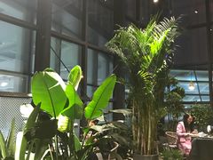 -大树餐厅(红旗街万达店)