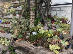 -四方小吃·白族庭院餐厅