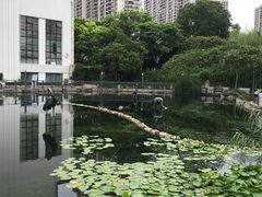 -苏州河梦清园环保主题公园