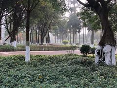 -重庆彩云湖湿地公园