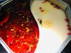 -新草堂锅物料理(泉城路店)