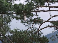 -广州市流溪河国家森林公园