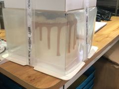 -蜜肆动物奶油蛋糕·个性定制·下午茶甜品