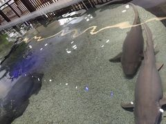 -鸿通城购物中心