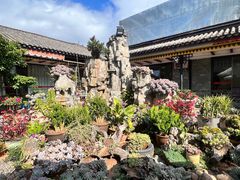 -山菌美食苑(振兴路店)