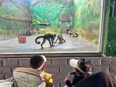 -西安秦岭野生动物园