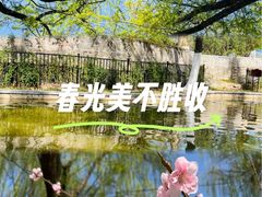 -西安市长乐公园