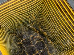 -UME影城(安贞DTS:X店)