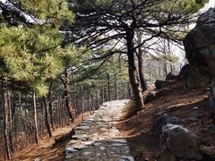 -北京鹫峰国家森林公园