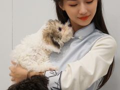 -有喵·猫咖·狗咖·30几只猫10只小狗(岗厦店)