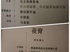 -新加坡航空公司(ION)