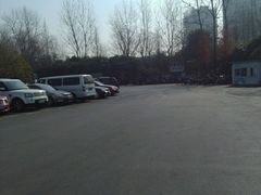 -大宁郁金香公园-停车场