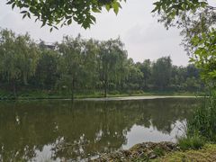 -东郊湿地公园