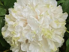-太阳宫公园