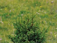 -阿坝州汶川特别旅游区