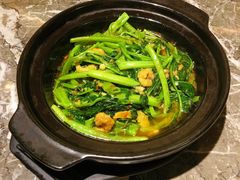 桑巴酱虾米啫空心菜-港丽餐厅