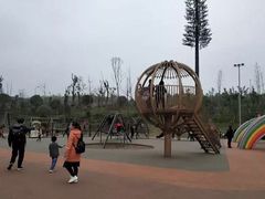 -枫香湖儿童公园