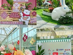 -上海鲜花港