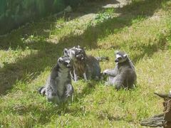 -西安秦岭野生动物园