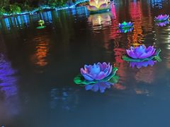 -印象普陀