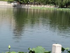 -莲花池公园