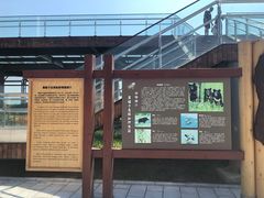 -黑瞎子岛探秘野熊园