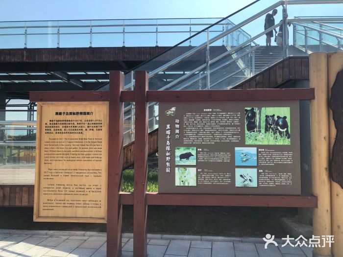 黑瞎子岛探秘野熊园图片
