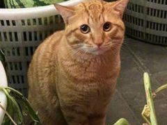 -川香煲(茅台路店)