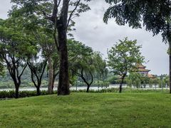 -顺峰山公园