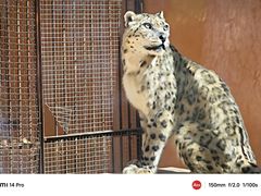-青藏高原野生动物园