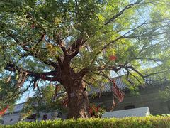 -杨家埠民间艺术大观园