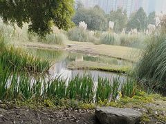 -成都中医药大学(温江校区)