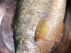 -宾朋海鲜饭庄(兴海路店)